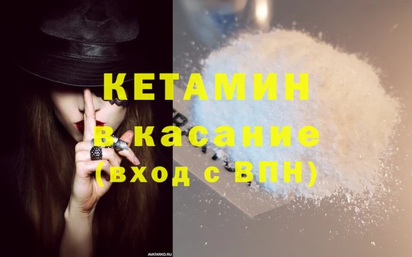 трава Гусь-Хрустальный
