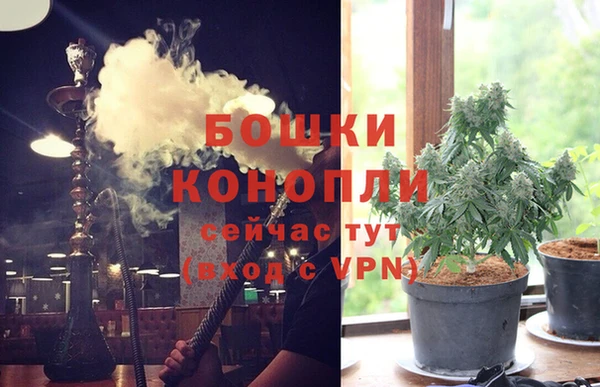 трава Гусь-Хрустальный