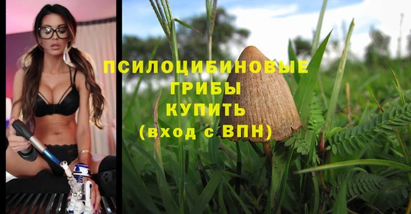 трава Гусь-Хрустальный