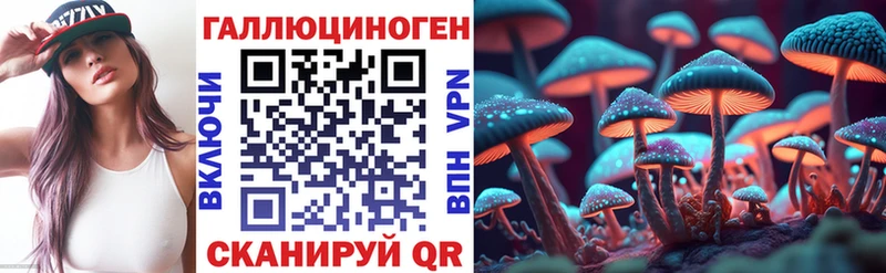 купить   мега ТОР  Псилоцибиновые грибы Cubensis  Донецк 